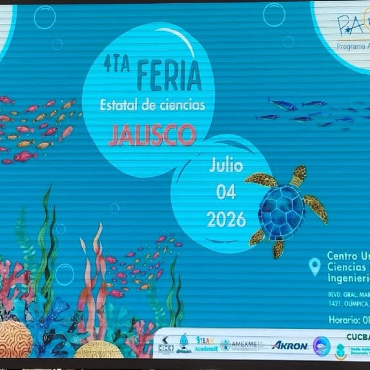 04 d ejul 2