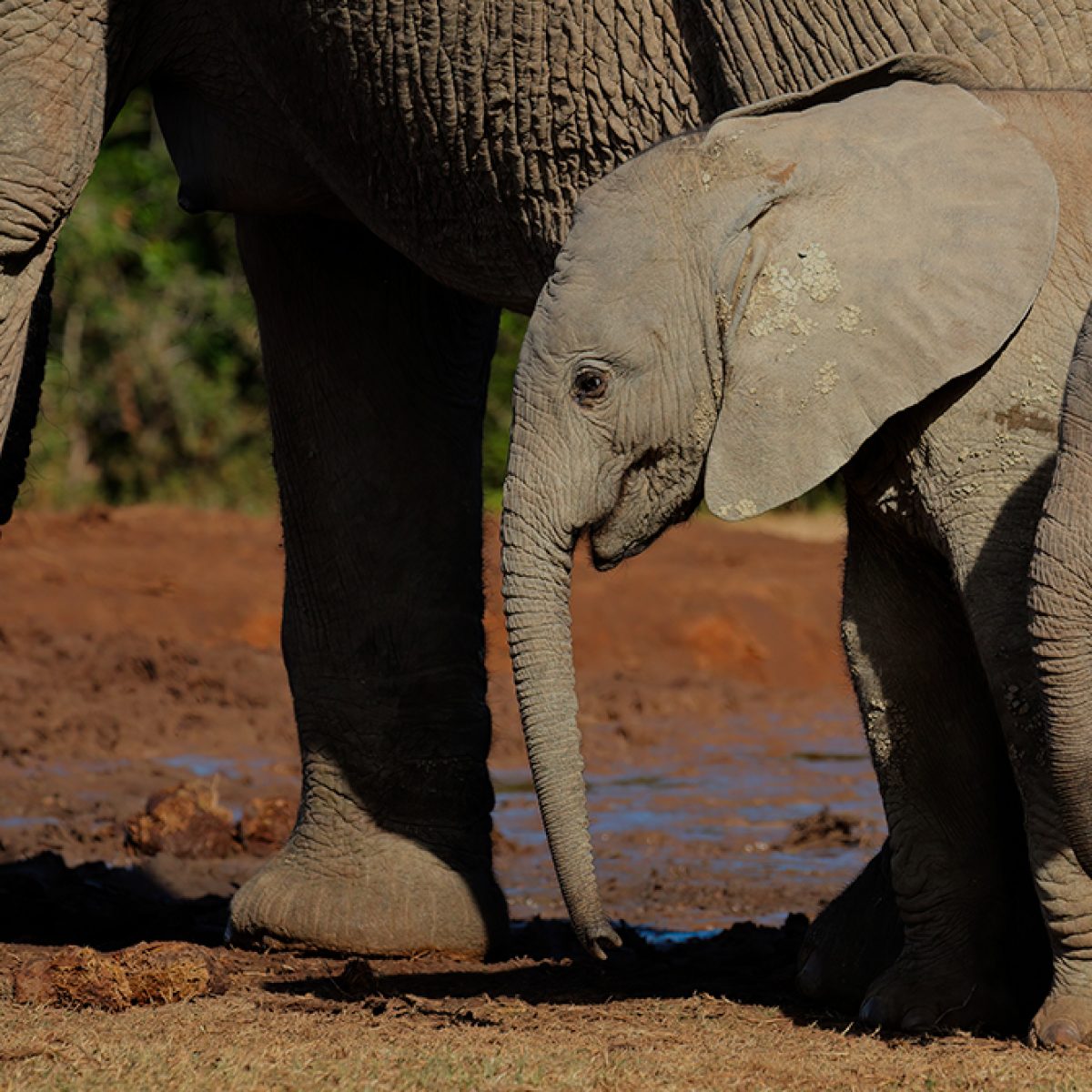 Banner Infantil
